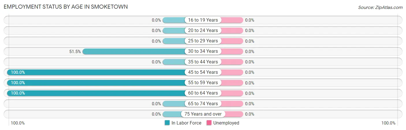 Employment Status by Age in Smoketown