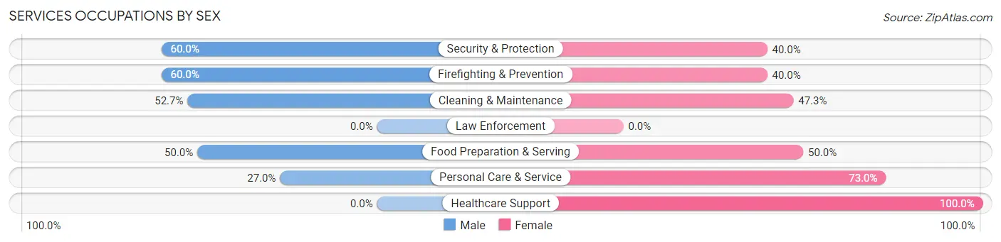 Services Occupations by Sex in Souderton borough