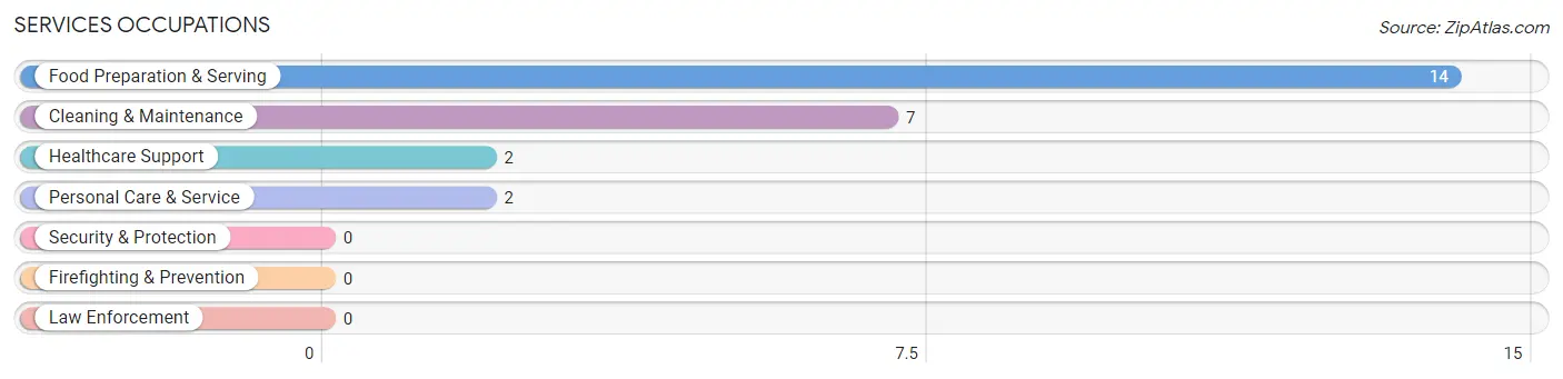 Services Occupations in South Heights borough