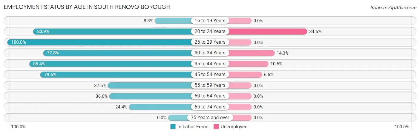 Employment Status by Age in South Renovo borough