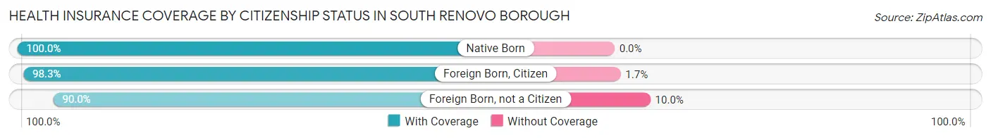 Health Insurance Coverage by Citizenship Status in South Renovo borough