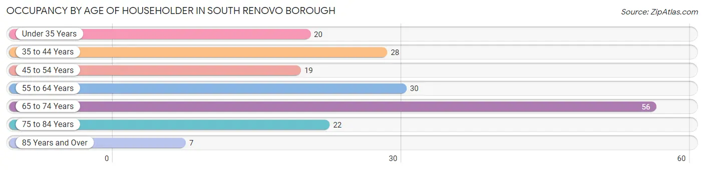 Occupancy by Age of Householder in South Renovo borough