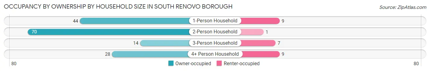 Occupancy by Ownership by Household Size in South Renovo borough