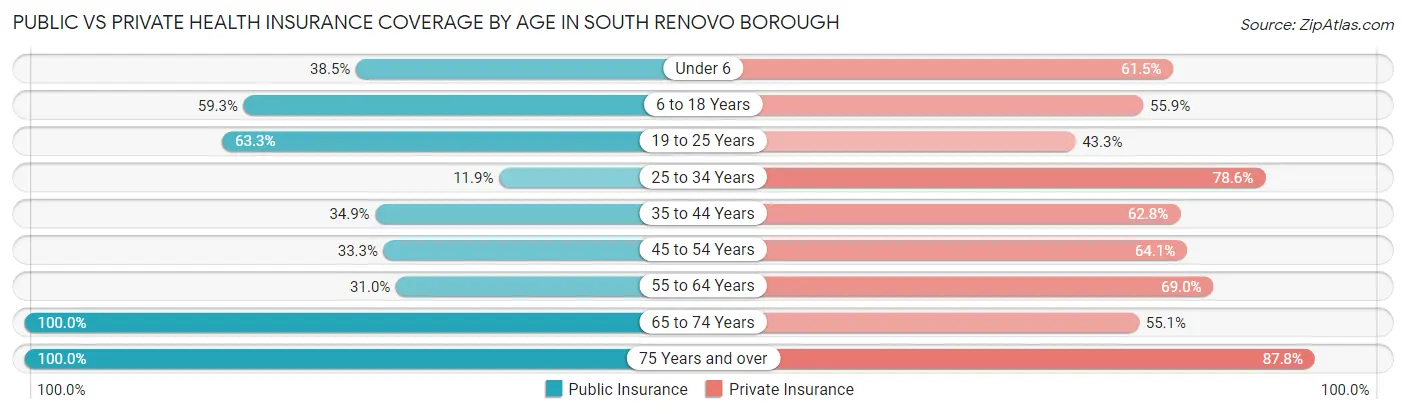 Public vs Private Health Insurance Coverage by Age in South Renovo borough