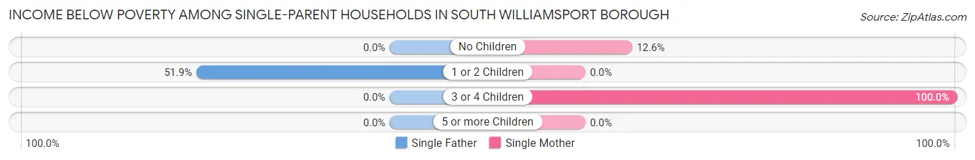 Income Below Poverty Among Single-Parent Households in South Williamsport borough