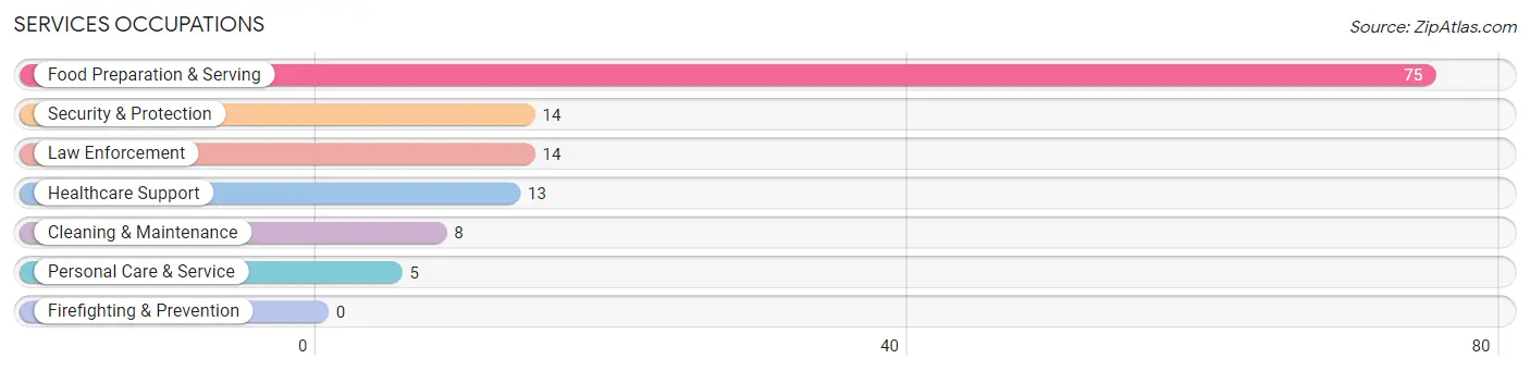 Services Occupations in Southmont borough