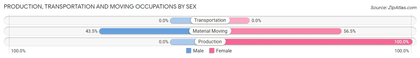 Production, Transportation and Moving Occupations by Sex in Southview