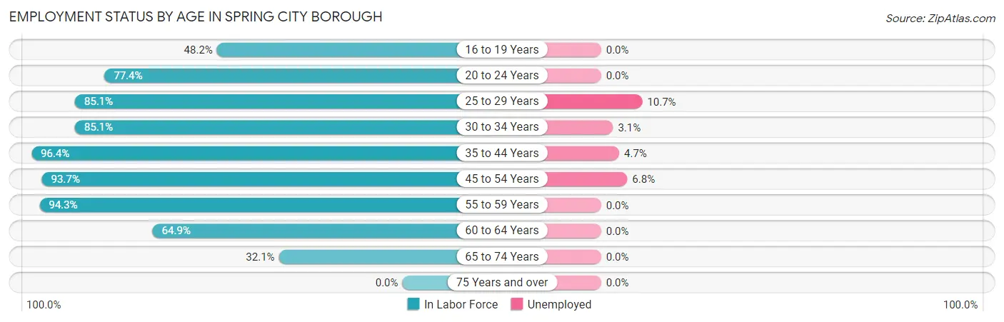 Employment Status by Age in Spring City borough