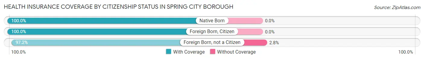 Health Insurance Coverage by Citizenship Status in Spring City borough