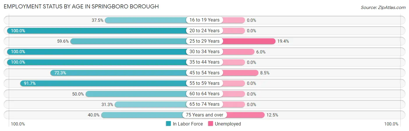 Employment Status by Age in Springboro borough