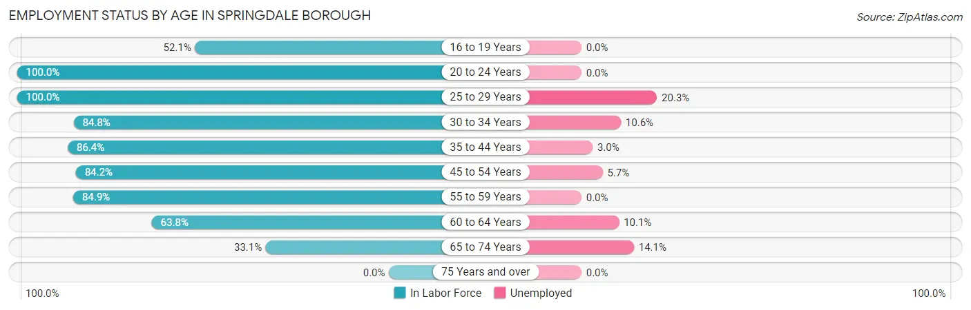 Employment Status by Age in Springdale borough