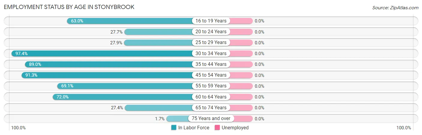 Employment Status by Age in Stonybrook