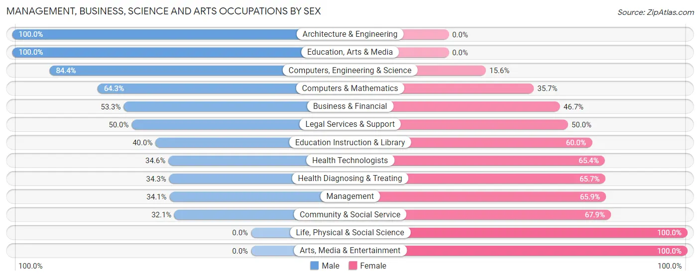 Management, Business, Science and Arts Occupations by Sex in Stonybrook
