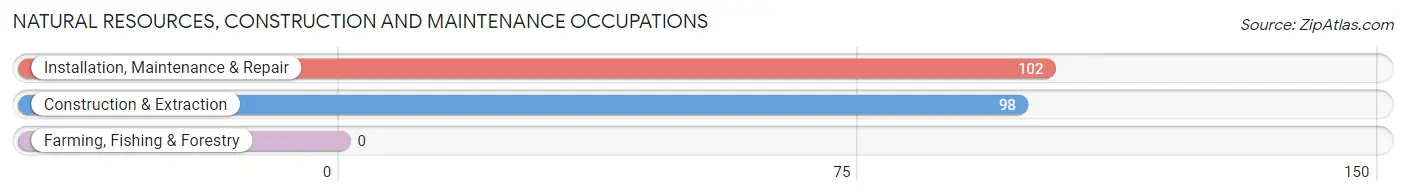 Natural Resources, Construction and Maintenance Occupations in Stowe