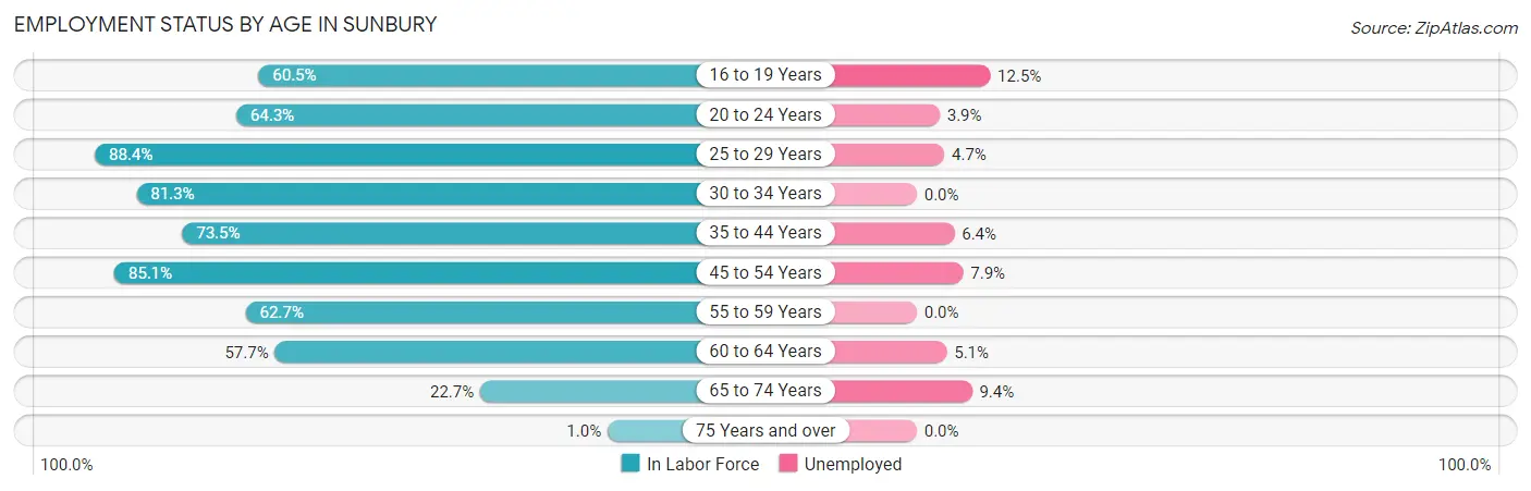 Employment Status by Age in Sunbury