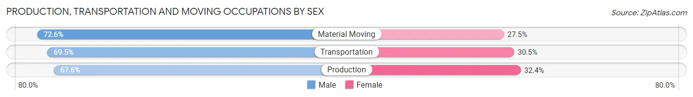 Production, Transportation and Moving Occupations by Sex in Sunbury