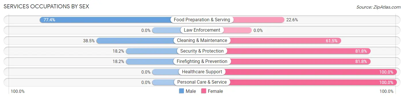 Services Occupations by Sex in Susquehanna Depot borough