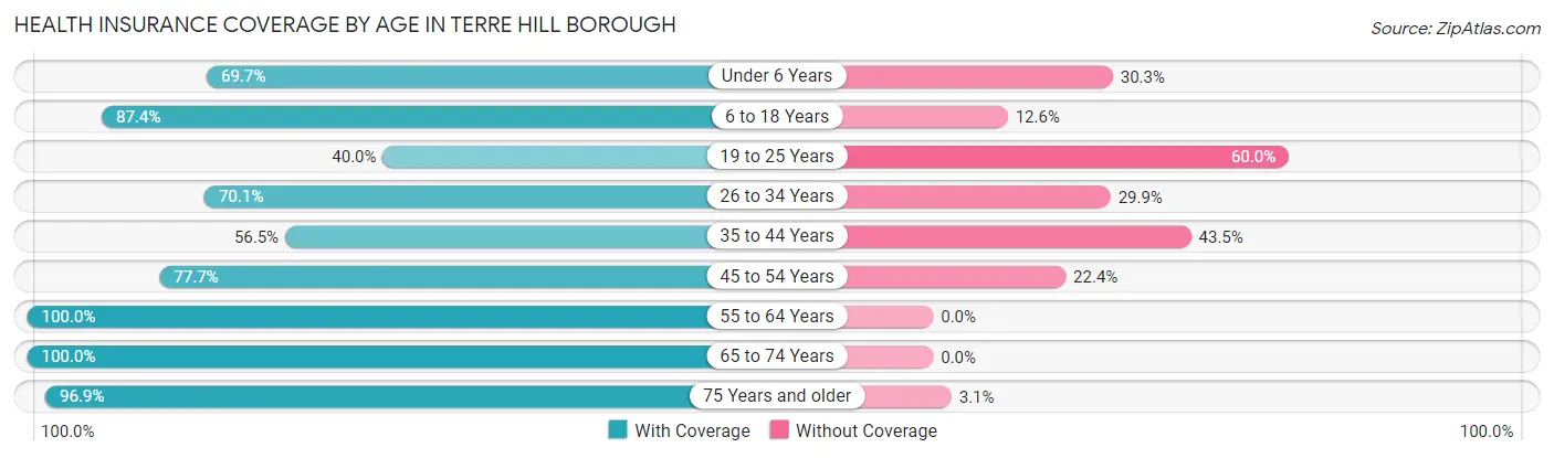 Health Insurance Coverage by Age in Terre Hill borough
