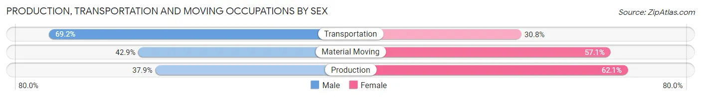 Production, Transportation and Moving Occupations by Sex in Terre Hill borough