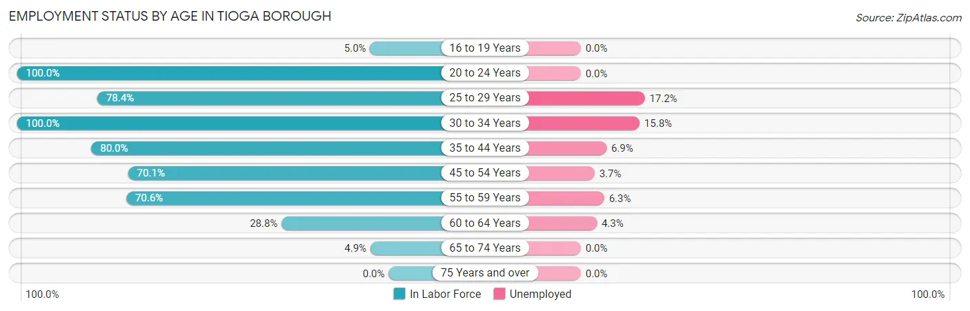 Employment Status by Age in Tioga borough