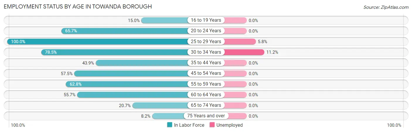 Employment Status by Age in Towanda borough