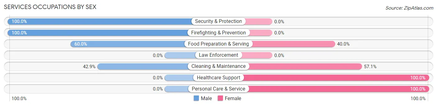 Services Occupations by Sex in Towanda borough