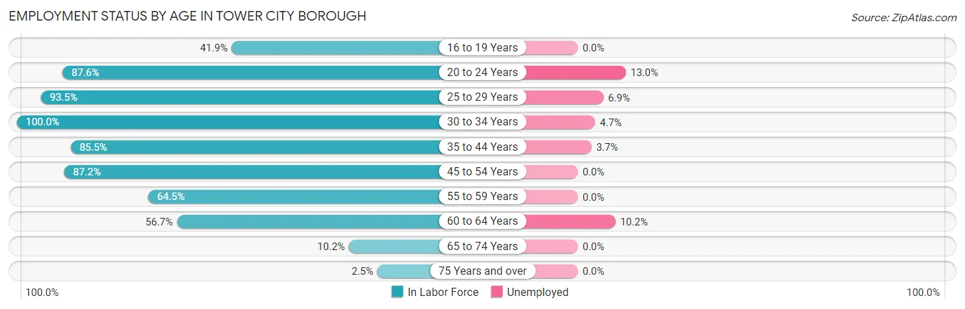 Employment Status by Age in Tower City borough