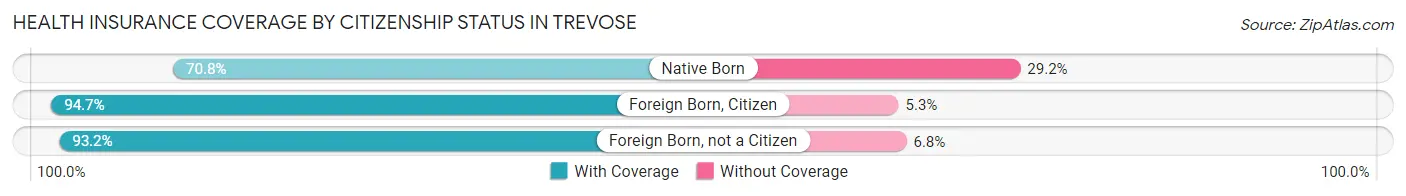 Health Insurance Coverage by Citizenship Status in Trevose