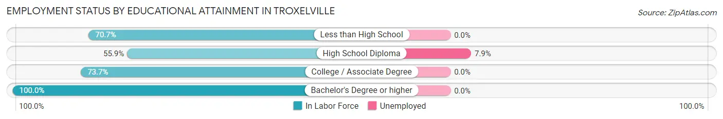 Employment Status by Educational Attainment in Troxelville