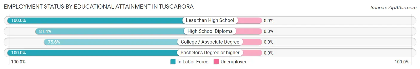 Employment Status by Educational Attainment in Tuscarora