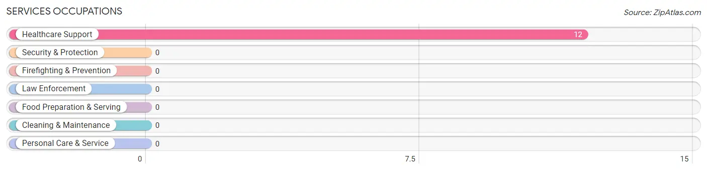 Services Occupations in Tylersburg