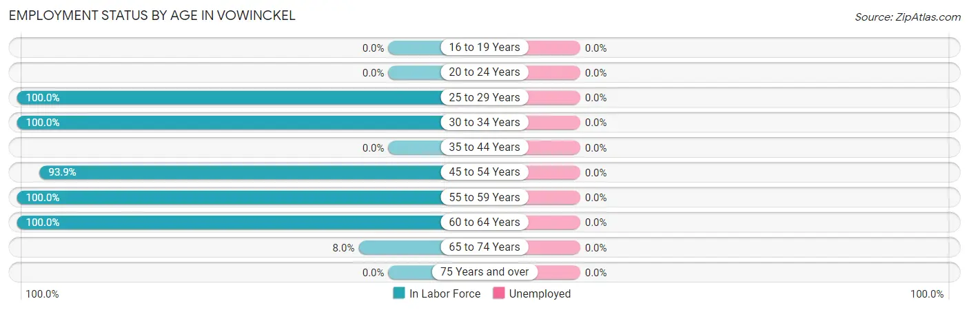 Employment Status by Age in Vowinckel