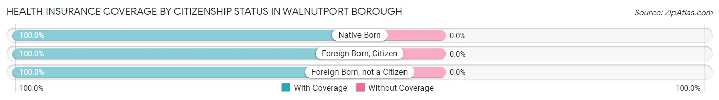 Health Insurance Coverage by Citizenship Status in Walnutport borough