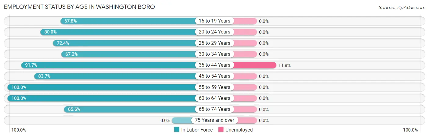 Employment Status by Age in Washington Boro