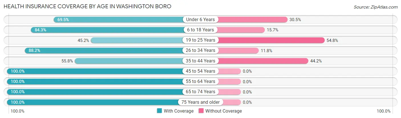 Health Insurance Coverage by Age in Washington Boro