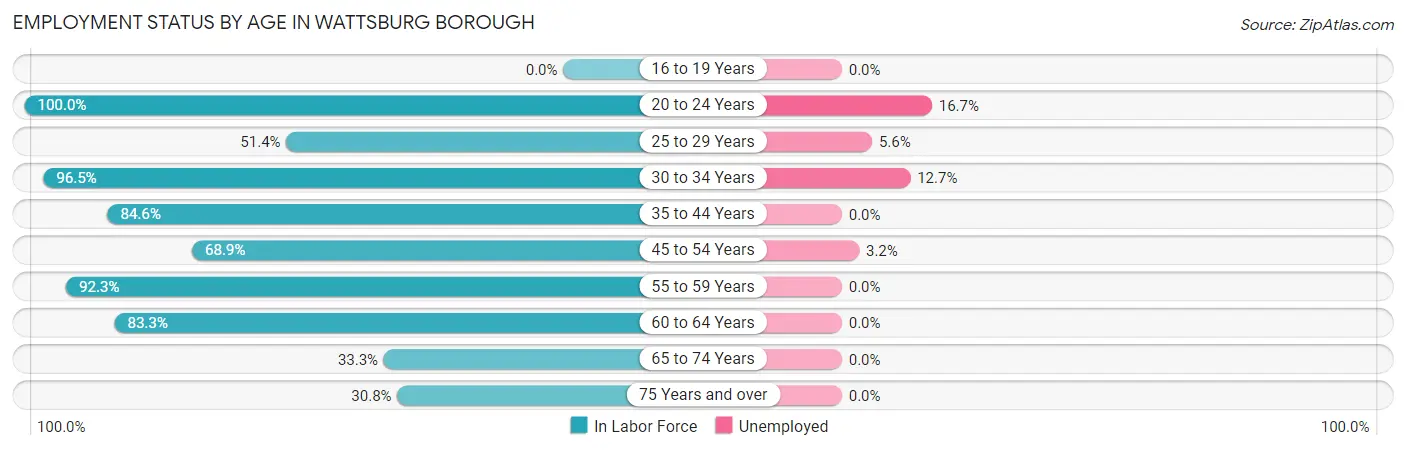 Employment Status by Age in Wattsburg borough