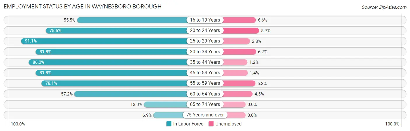 Employment Status by Age in Waynesboro borough