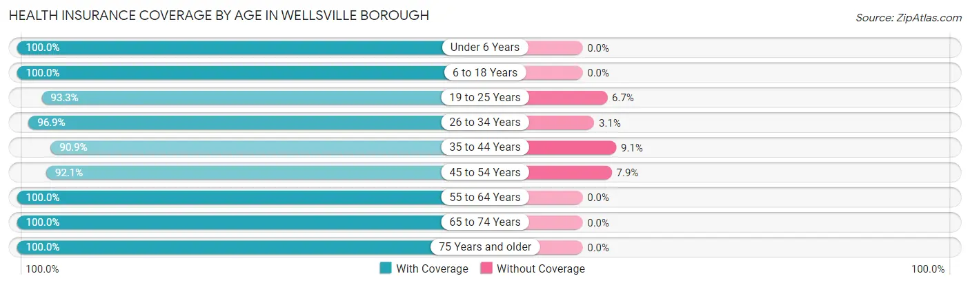 Health Insurance Coverage by Age in Wellsville borough