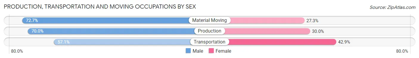 Production, Transportation and Moving Occupations by Sex in Wellsville borough