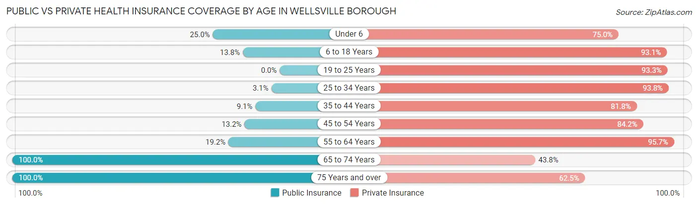 Public vs Private Health Insurance Coverage by Age in Wellsville borough