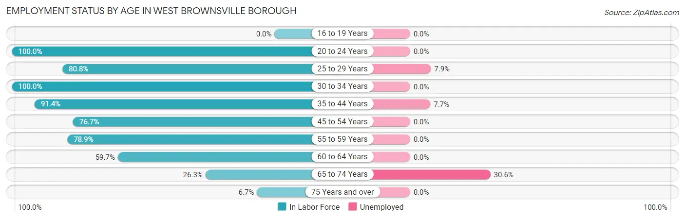 Employment Status by Age in West Brownsville borough