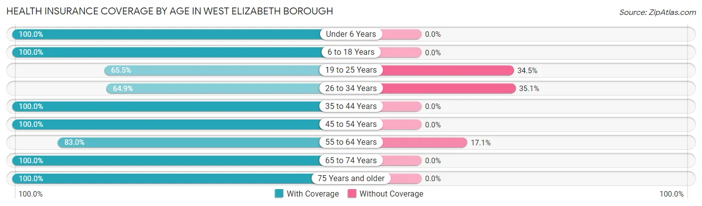 Health Insurance Coverage by Age in West Elizabeth borough