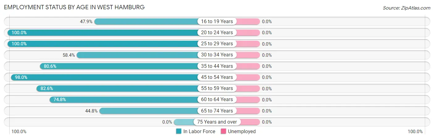 Employment Status by Age in West Hamburg