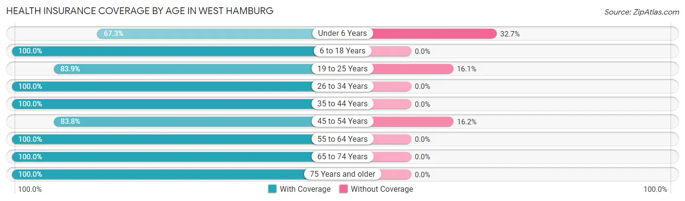 Health Insurance Coverage by Age in West Hamburg