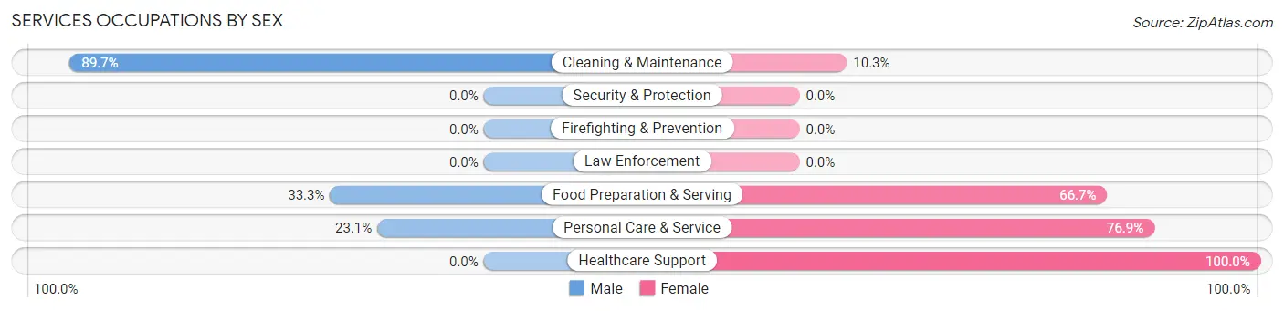 Services Occupations by Sex in West Mayfield borough