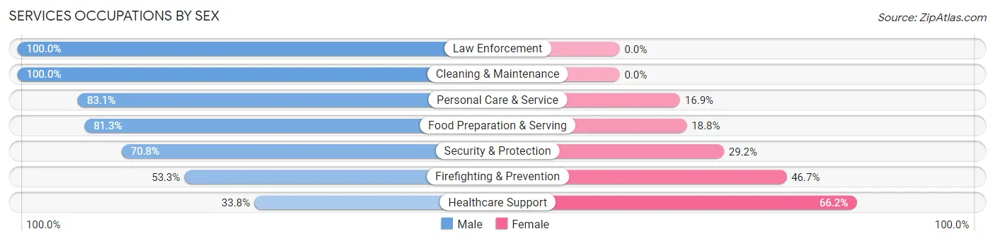 Services Occupations by Sex in West Reading borough