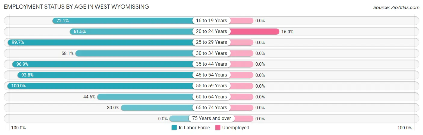 Employment Status by Age in West Wyomissing