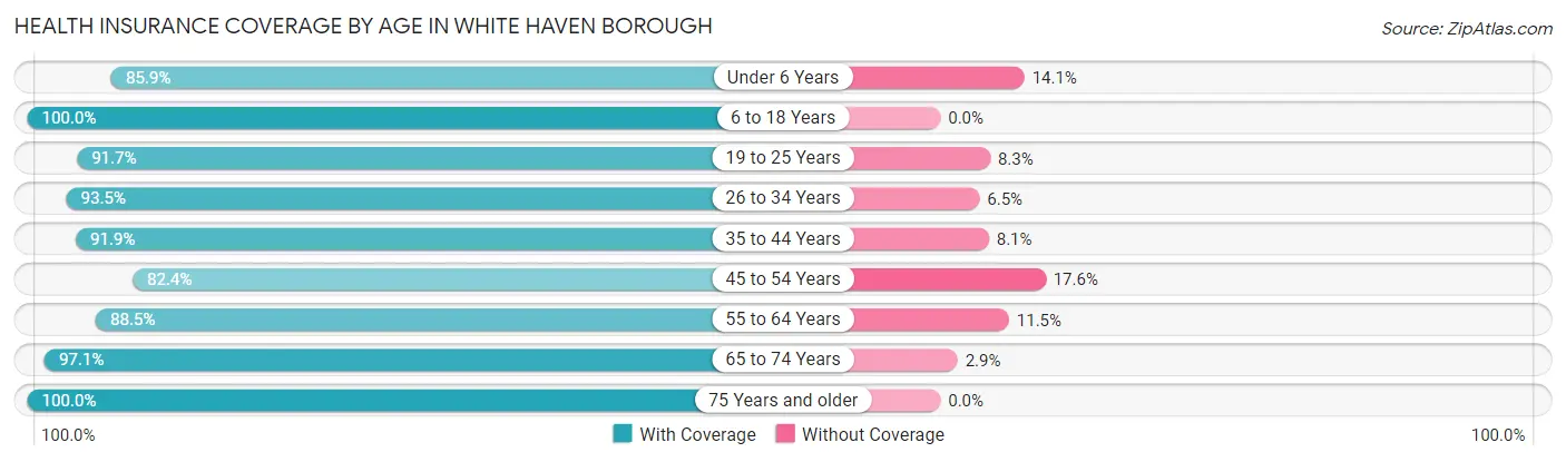 Health Insurance Coverage by Age in White Haven borough