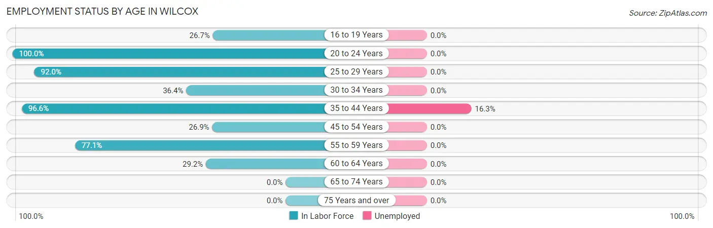 Employment Status by Age in Wilcox