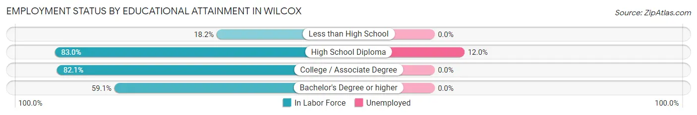 Employment Status by Educational Attainment in Wilcox